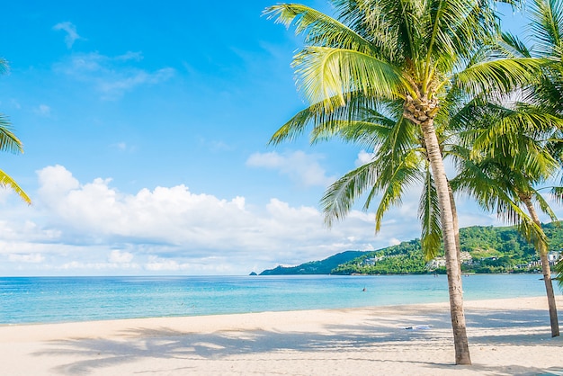 Plage tropicale