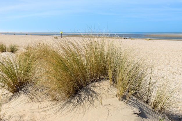 Les plages vides du printemps 2020 # 1