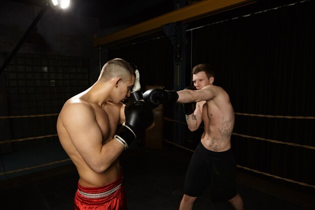 Plan candide de deux jeunes combattants masculins séduisants debout seins nus à l'intérieur du ring de boxe, s'entraînant, portant des gants de cuir et un pantalon. Concept de sport, fitness, arts martiaux, entraînement et entraînement