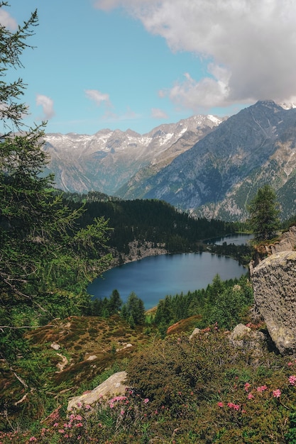 Plan d'eau entouré de montagnes