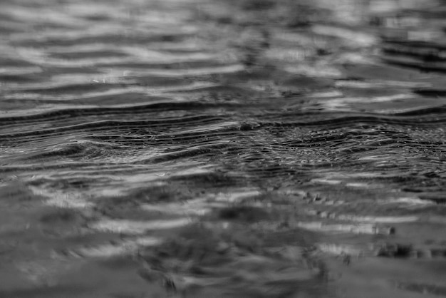 Plan d'eau en niveaux de gris se bouchent