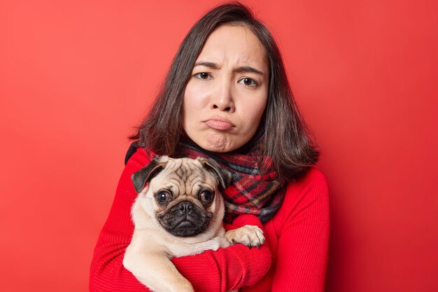 Plan horizontal d'une femme sombre mécontente a offensé une expression bouleversée vêtue de vêtements décontractés tient un chien carlin de race sur les mains se sent fatigué après avoir marché pendant longtemps isolé sur un mur rouge