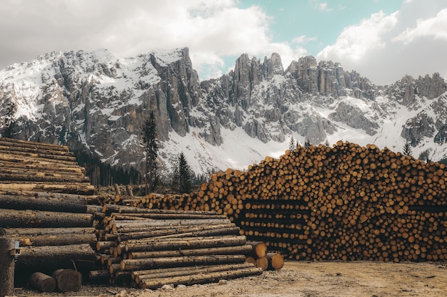 Plan horizontal d'un tas de bûches de bois de chauffage avec des montagnes Rocheuses couvertes de neige