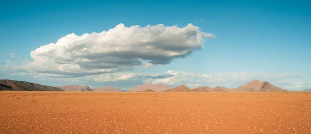 Plan large d'une belle vue sur le désert du Namib en Afrique