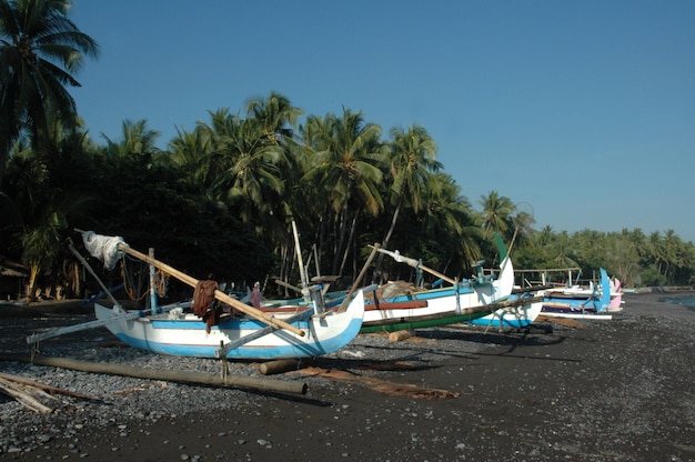 Photo gratuite plan large de canoës sur la rive au bord de la mer entourée d'arbres tropicaux sous un ciel clair