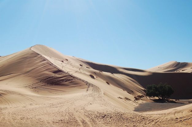 Plan large de dunes de sable dans le désert par une journée ensoleillée