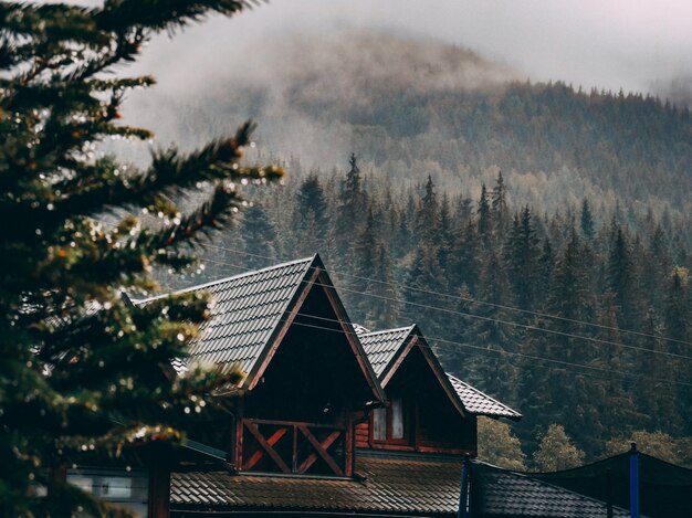 Plan large d'une maison brune entourée d'une forêt d'épinettes sous les nuages