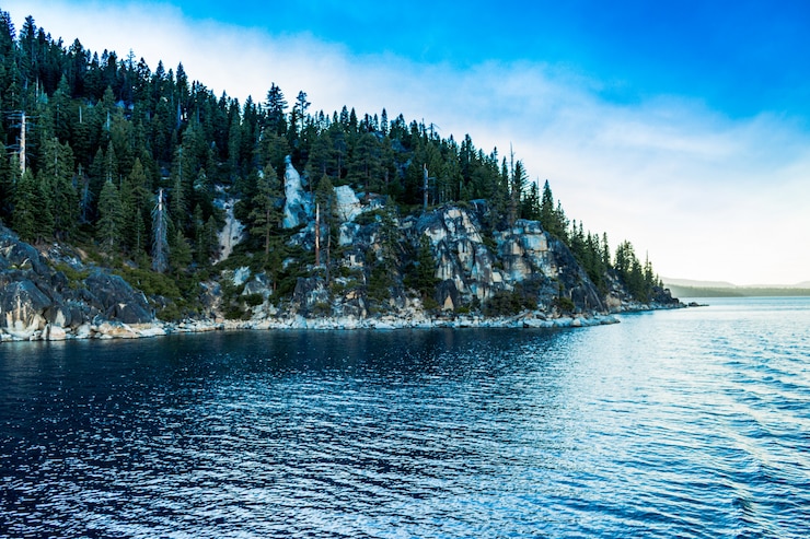 Photo gratuit plan large d'une mer bleu clair près d'une montagne couverte de pins sous un ciel clair