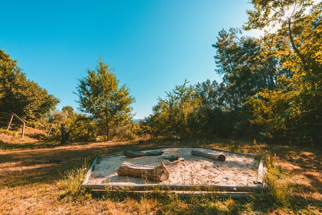 Plan large d'un parc avec un foyer dans un bac à sable entouré de plantes et d'arbres