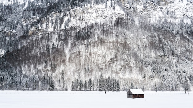 Plan large d'une petite cabane en bois sur une surface enneigée près des montagnes et des arbres couverts de neige