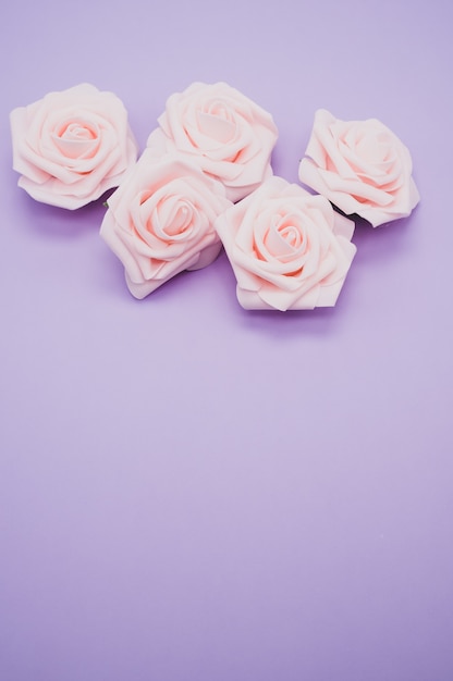 Photo gratuite plan rapproché vertical de roses roses isolé sur fond violet avec espace de copie