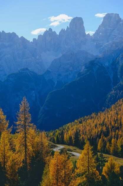 Plan vertical d'arbres jaunes et de montagnes avec un ciel bleu en arrière-plan