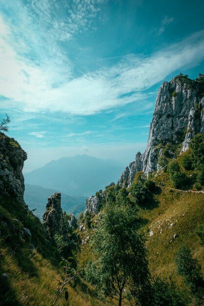 Plan vertical de collines herbeuses avec des arbres et des montagnes au loin