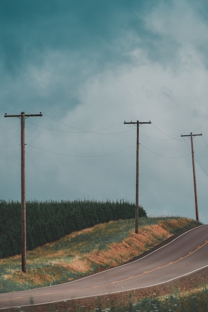 Photo gratuite plan vertical d'une étroite route de campagne avec des poteaux électriques et une forêt