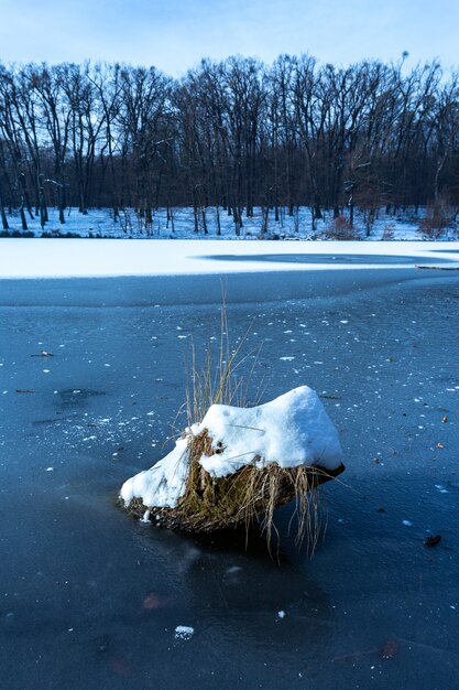 Plan vertical d'un morceau de bois recouvert de neige dans le lac gelé de Maksimir, Zagreb, Croatie