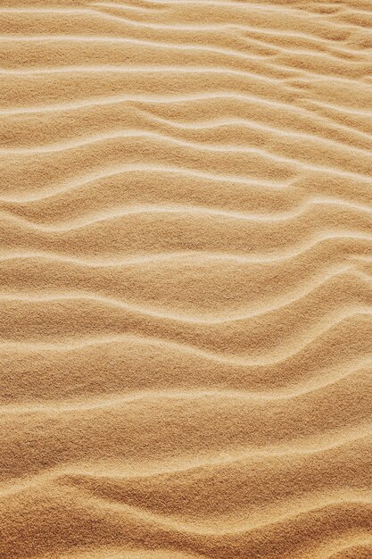 Plan vertical des motifs sur le sable dans le désert