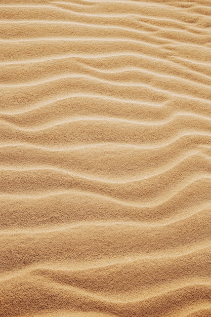 Plan vertical des motifs sur le sable dans le désert