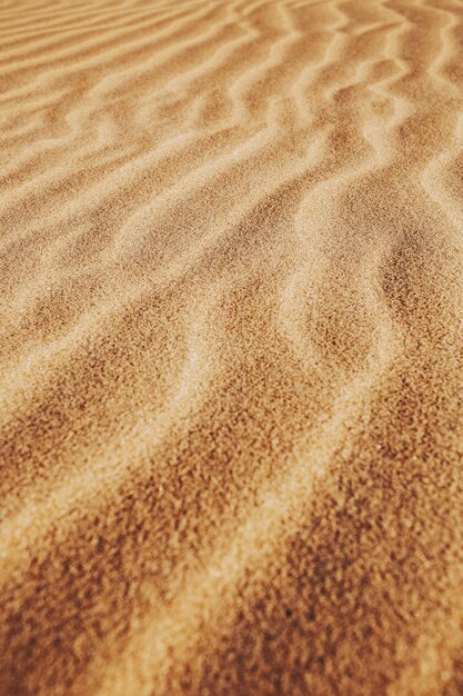 Plan vertical des motifs sur le sable dans le désert