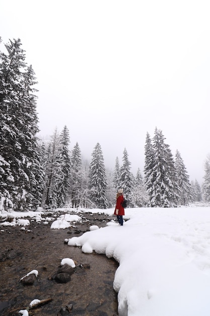 Plan vertical d'une personne dans un manteau rouge debout dans un champ couvert d'arbres et de neige en hiver