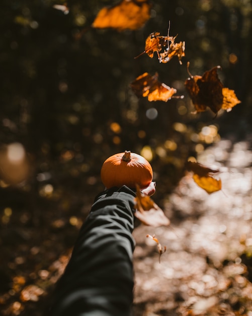 Photo gratuite plan vertical d'une personne tenant une citrouille pendant la saison d'automne