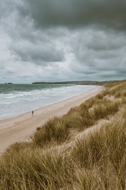 Plan vertical de la plage couverte d'herbe par l'océan calme capturé à Cornwall, Angleterre