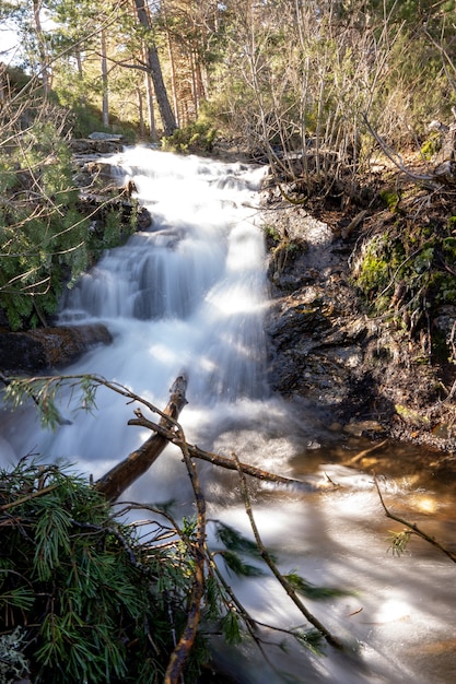 Photo gratuite plan vertical d'une rivière à courant rapide entourée de rochers et d'arbres dans une forêt