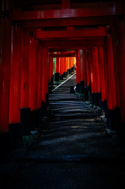 Photo gratuite plan vertical d'un sentier avec des portes tori rouges