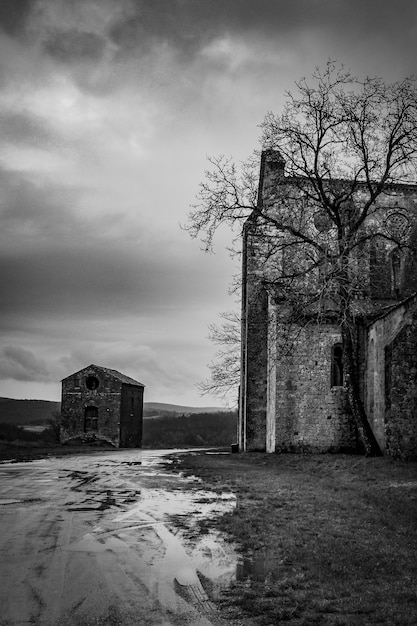 Plan vertical d'un sentier près d'une grande maison avec un arbre en face et un bâtiment à distance