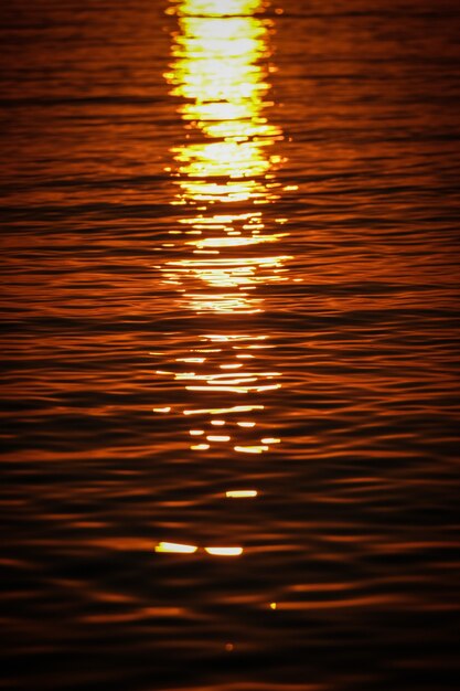 Plan vertical des vagues de la mer reflétant la lumière du soleil au coucher du soleil