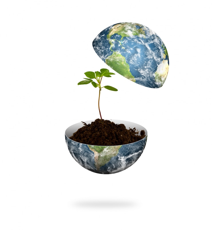 Photo gratuit la planète terre divisée en deux avec une plante