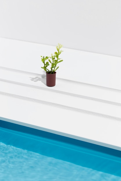 Photo gratuite plante à angle élevé en pot à côté de la piscine