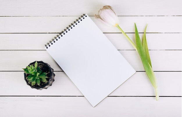 Plante de cactus; bloc-notes en spirale et tulipe sur un bureau en bois