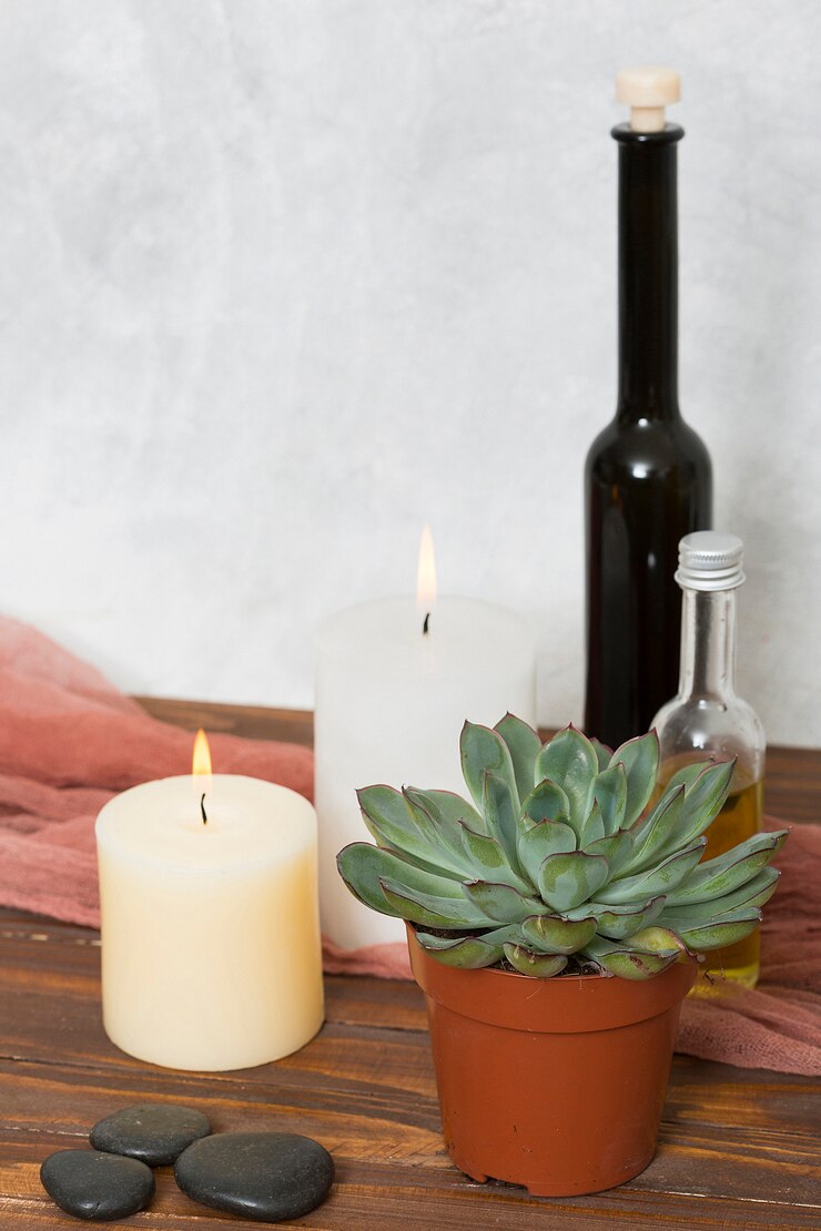 Photo gratuit plante de cactus; bougie allumée; la pierre et une bouteille d'huile essentielle sur un bureau en bois