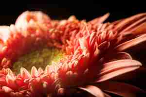 Photo gratuite plante de couleur corail gros plan