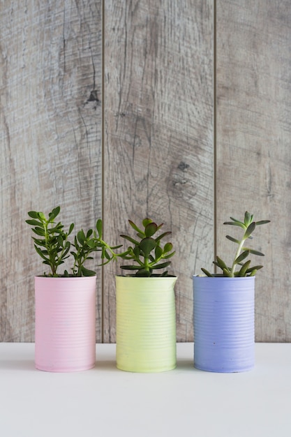 Plante de culture fraîche dans trois canettes de recyclage peintes sur un bureau blanc contre un mur en bois