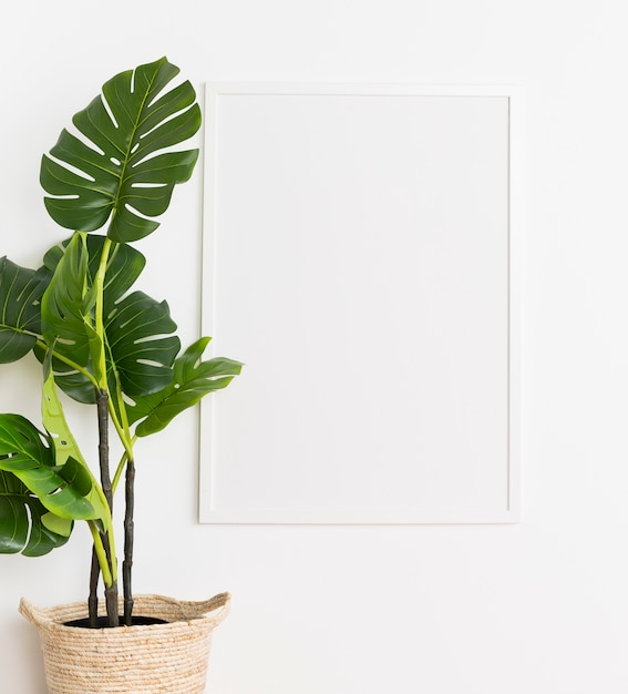 Photo gratuite plante décorative avec cadre vide