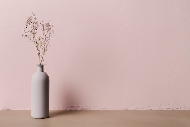 Plante décorative à l&#39;intérieur d&#39;un vase minimal