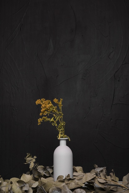 Plante décorative à l&#39;intérieur d&#39;un vase minimal