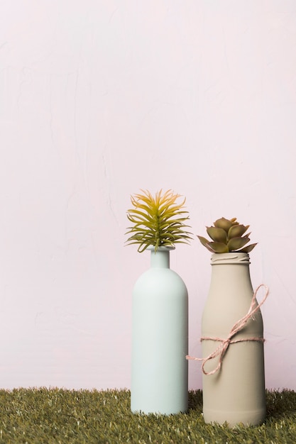 Photo gratuite plante décorative à l'intérieur d'un vase minimal