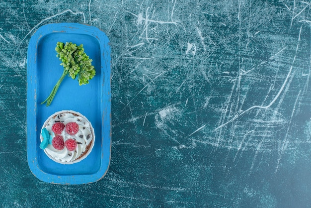 Plante décorative et un petit gâteau sur un plateau bleu sur fond bleu. Photo de haute qualité