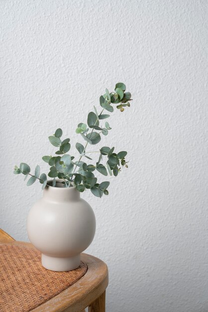 Plante d'eucalyptus sur table high angle