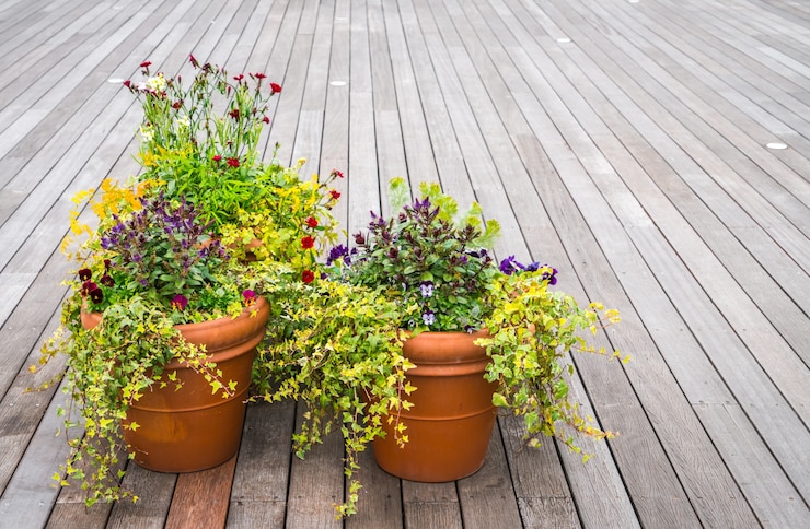 Photo gratuit plante d&#39;extérieur dans un plancher en bois traditionnel.