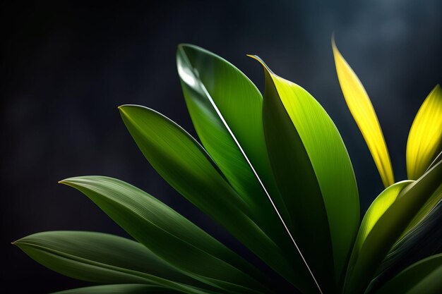 Une plante avec des feuilles vertes et une lumière jaune qui brille dessus.