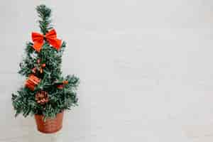 Photo gratuite plante de noël