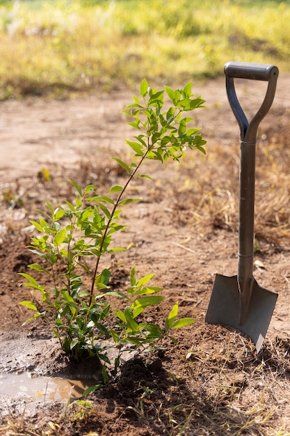 Photo gratuite plante et pelle sur campagne