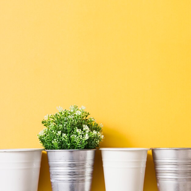 Plante en pot d&#39;argent avec un pot blanc sur fond jaune