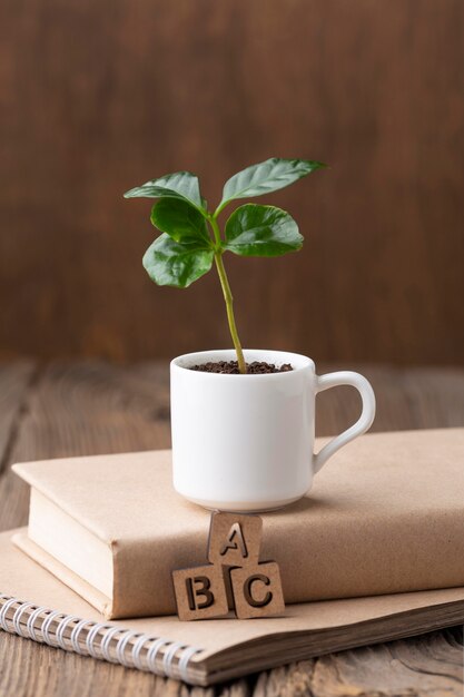 Plante en pot sur arrangement de livre