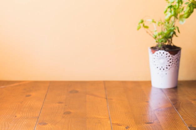 Photo gratuite plante en pot sur la surface en bois