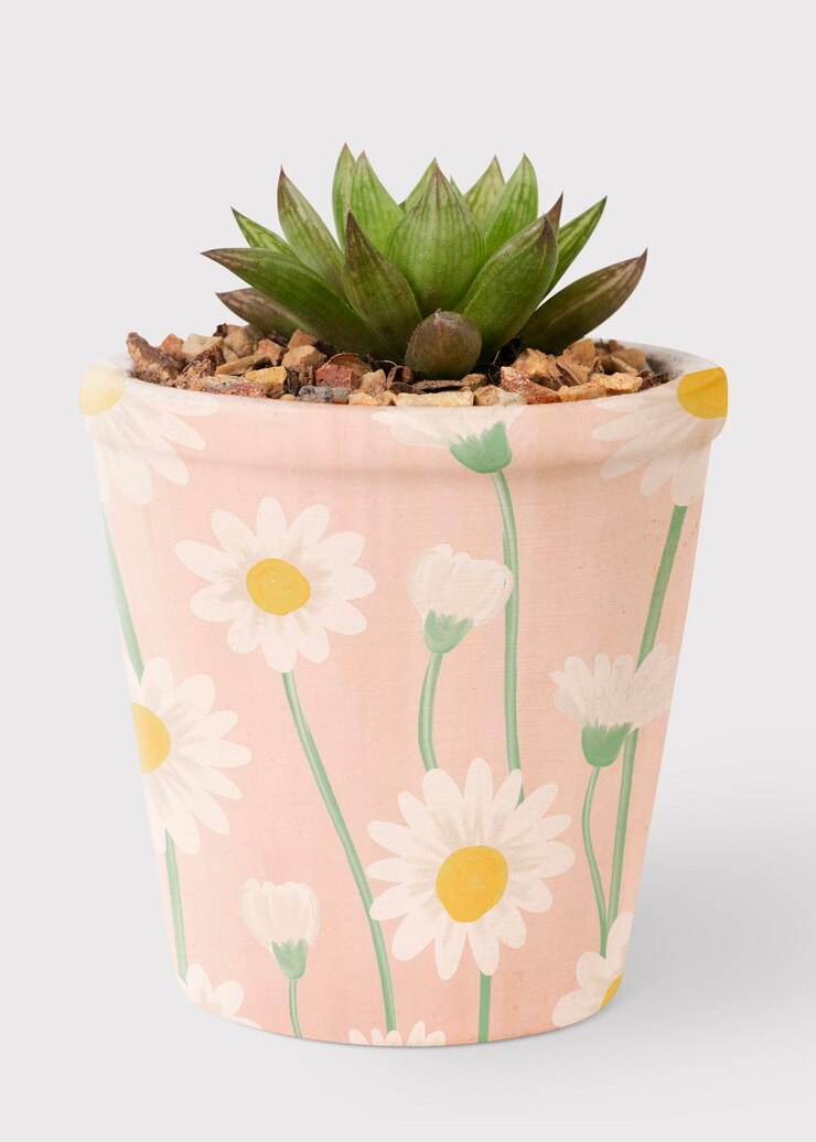 Photo gratuit plante succulente dans un joli pot rose