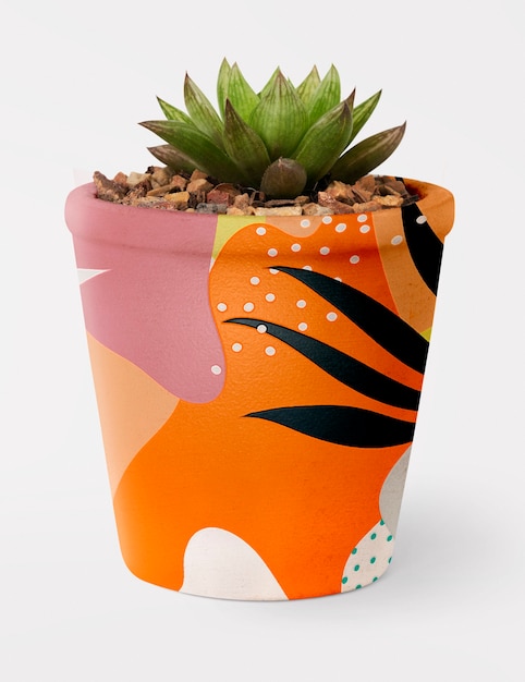 Plante succulente dans un pot de memphis